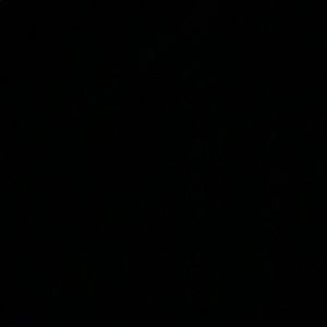 Meet your Posher, Margo